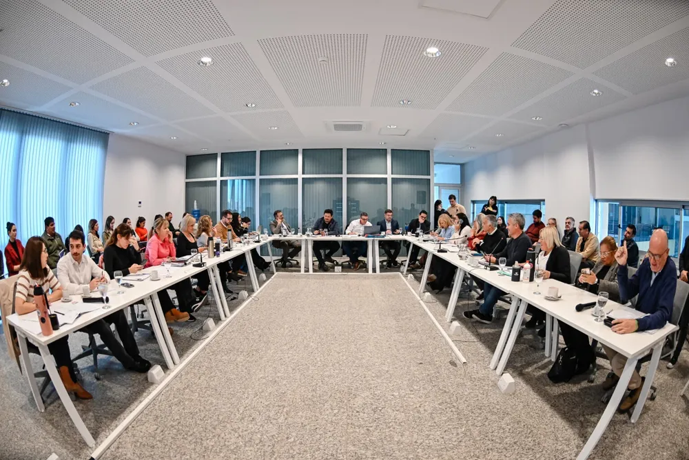 concejo comision naranjitas