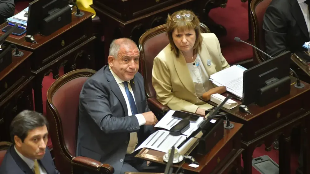 juez bullrich senado 1