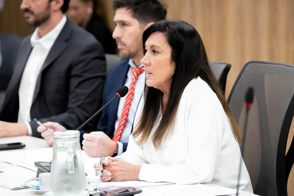 rodriguez machado comision